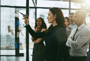Strategic Brilliance, What is Strategic Brilliance, Leadership Planning, Essence of Strategic Brilliance, Visionary Leadership, Future of organizations, Success Through Leadership Planning